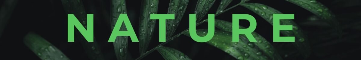 Nature Site slideshow