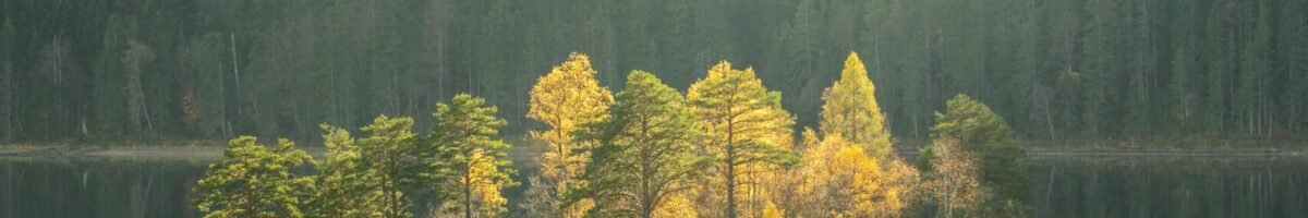 Nature Site slideshow